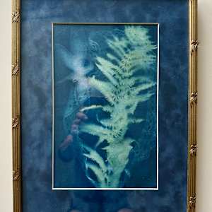 Dragonfly, Fern, and Lace by Cheryl Ann Boc-Chidester  Image: Framed