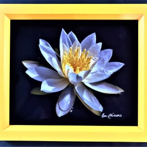 Late Summer Beauty by Cheryl Ann Boc-Chidester  Image: Late Summer Beauty, framed