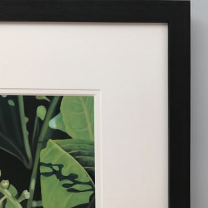 Flowering Laurel by Jackie Gwyther  Image: Flowering Laurel - Frame Detail (Image - Jackie Gwyther)