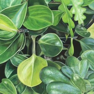 Houseplants by Jackie Gwyther