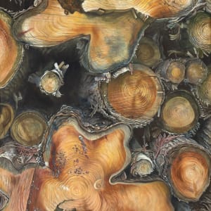 Log Stack by Jackie Gwyther
