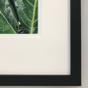 Nature's Secrets by Jackie Gwyther  Image: Nature's Secrets - Frame Detail  (Image - Jackie Gwyther)