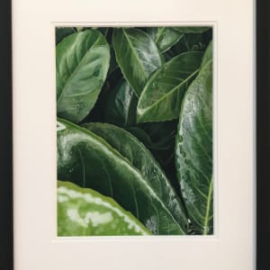 Nature's Secrets by Jackie Gwyther  Image: Nature's Secrets - Framed (Image - Jackie Gwyther)