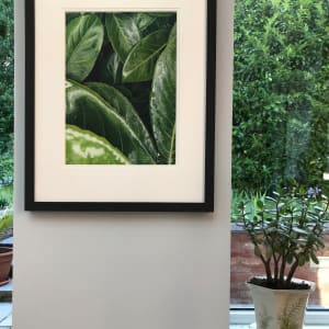 Nature's Secrets by Jackie Gwyther  Image: Nature's Secrets - Room Scene  (Image - Jackie Gwyther)