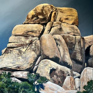HIdden Valley Trail Rocks by Craig Barnes Fine Art