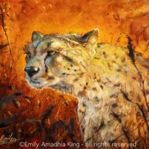 The Huntress by Emily Amadhia King