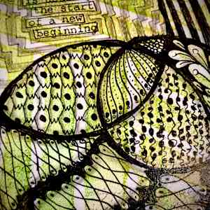 New Beginnings by Donna Norton 