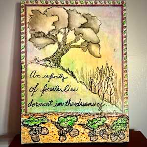 The Grownup Acorn” by Donna Norton 