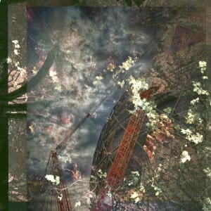 Half light by Deborah Moss Marris, Image 1.