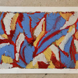 Midnight Canopy by Rachael Ryan