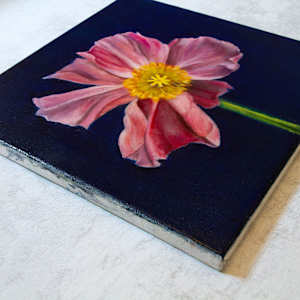 Singular Pink Poppy by Rachael Ryan 