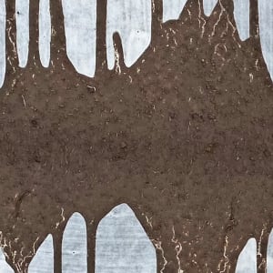 05152024 Lineages by Philippe Nault 