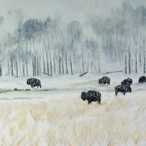 Buffalo in Snow (framed) by Lisa Purdy