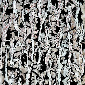 October Drawing 11 by Joseph Stabilito