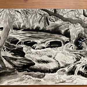 Mountain Stream in Western North Carolina by Spence Guerin, Image 1.