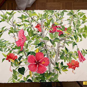 Hibiscus (Denise's Choice) by Spence Guerin