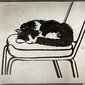 Sleeping Cat, Named Depression by Spence Guerin, Image 1.