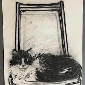 A Cat Named 'Depression' in the Chair by Spence Guerin, Image 1.