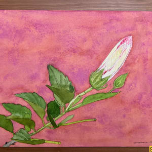 Hibiscus Bud, Cobalt Violet by Spence Guerin