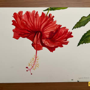 Deep Red Hibiscus, Three Leaves by Spence Guerin
