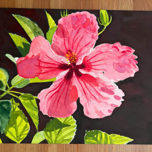 Pink Hibiscus, Dark Background by Spence Guerin