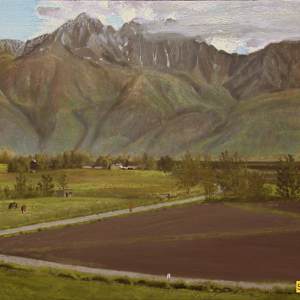 Mat-Su Farm,  Twin Peaks by Spence Guerin
