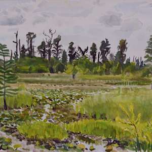 Okefenokee by Spence Guerin