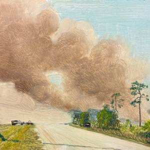 Controlled Burn by Spence Guerin