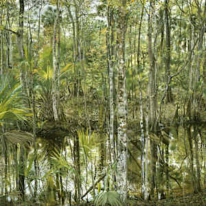 Tootoosahatchee by Spence Guerin, Image 1.
