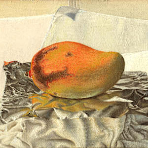 Merritt Island Mango by Spence Guerin