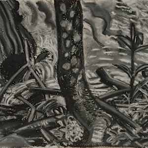 Mountain Stream by Spence Guerin, Image 1.