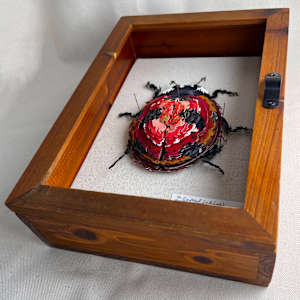 Coccinella Macroseptumpunctata by Patrick Gannon  Image: Coccinella Macroseptumpunctata, framed • from bottom right
