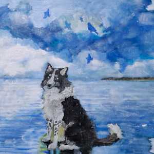 Border Collie's Costal comtemplation by Yvonne Cavens