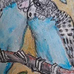 Animal Sketchbook by Yvonne Cavens, Image 4.