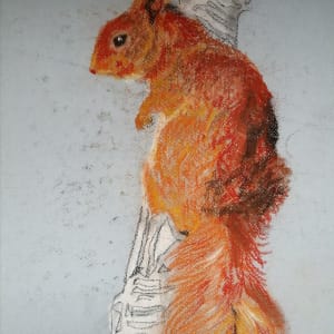 Miss Red squirrel by Yvonne Cavens