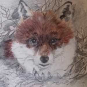 Mr Foxy by Yvonne Cavens, Image 1.