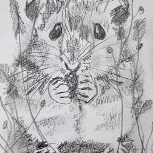 Inquisitive eyes( miniature) by Yvonne Cavens, Image 1.