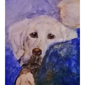 The Boy and his Dog by Yvonne Cavens