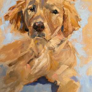 But You Just Got Here by Brenda Sulmonetti