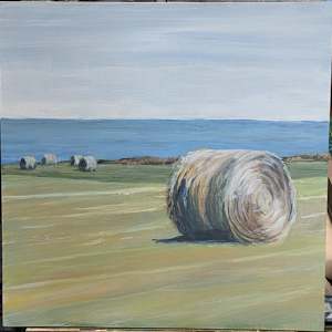 Coastal Hay (Cable Head Hay 1) by Rebeka Darylin  Image: In progress 2