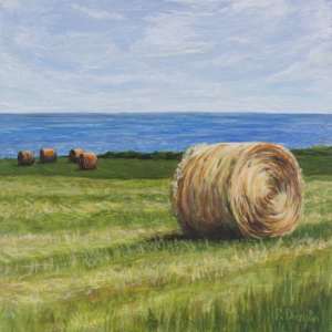 Coastal Hay (Cable Head Hay 1) by Rebeka Darylin