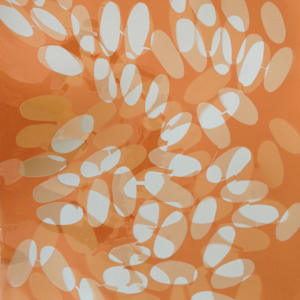 All-Ways by Lia Zuvilivia, Image 9.