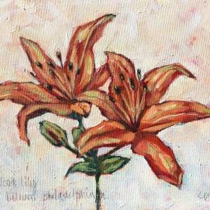 Wood Lily by Cheryl Potter