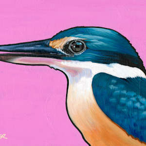 Sacred Kingfisher on Pink by Susy Boyer, Image 1.