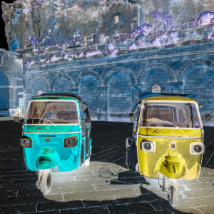 Inverted Realities - Ape Vito Calessino by Peter Mendelson