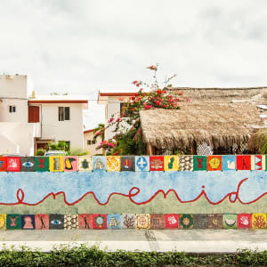 Bienvenidos by Peter Mendelson