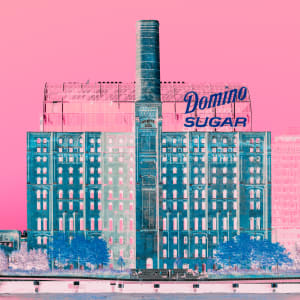 Inverted Realities - Domino Sugar by Peter Mendelson