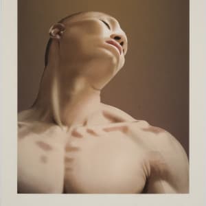 Hest (Horse) 1/6 by Aleksander Kheiron Matsberg  Image: Edition 1, Pre-framed sheet
