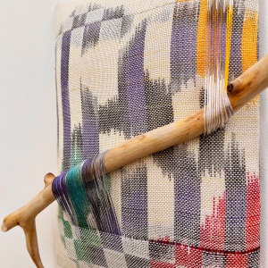 Adapted (Absorbed) by Melissa English Campbell, Image 3.