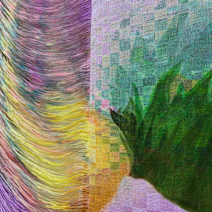 Cabbage Head by Melissa English Campbell, Image 2.